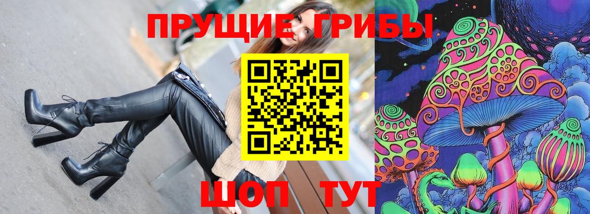 Псилоцибиновые грибы Psilocybe  Галлюциногенные грибы мицелий  Артём  Вход с VPN 