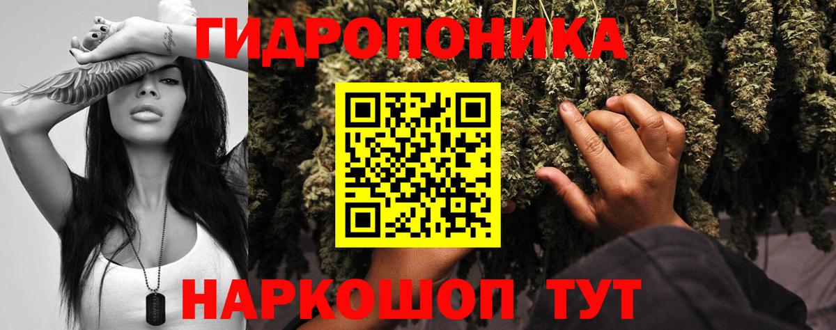 МАРИХУАНА Bruce Banner  Вход с VPN  МАРИХУАНА тримм  Конопля план  Артём 